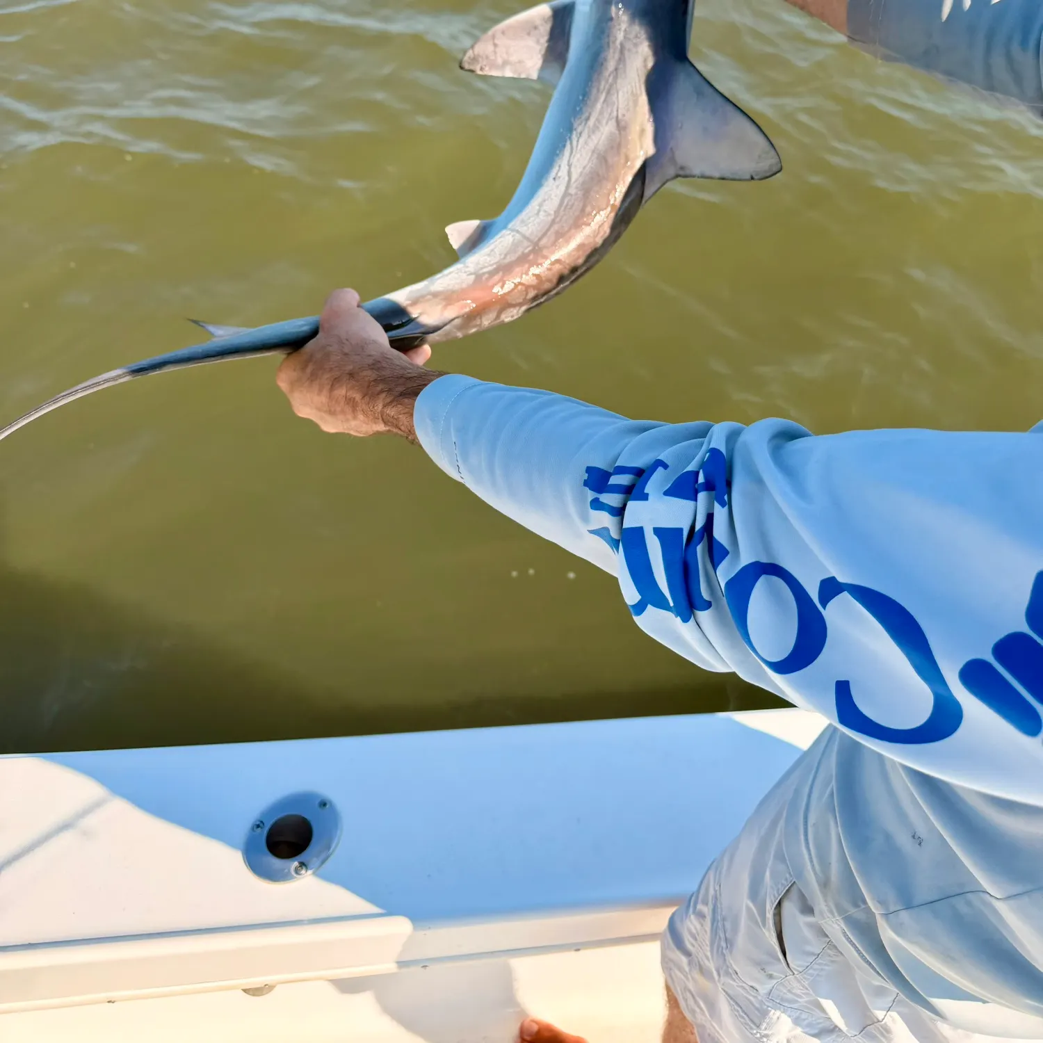 The most recent Smooth hammerhead shark catches on Fishbrain