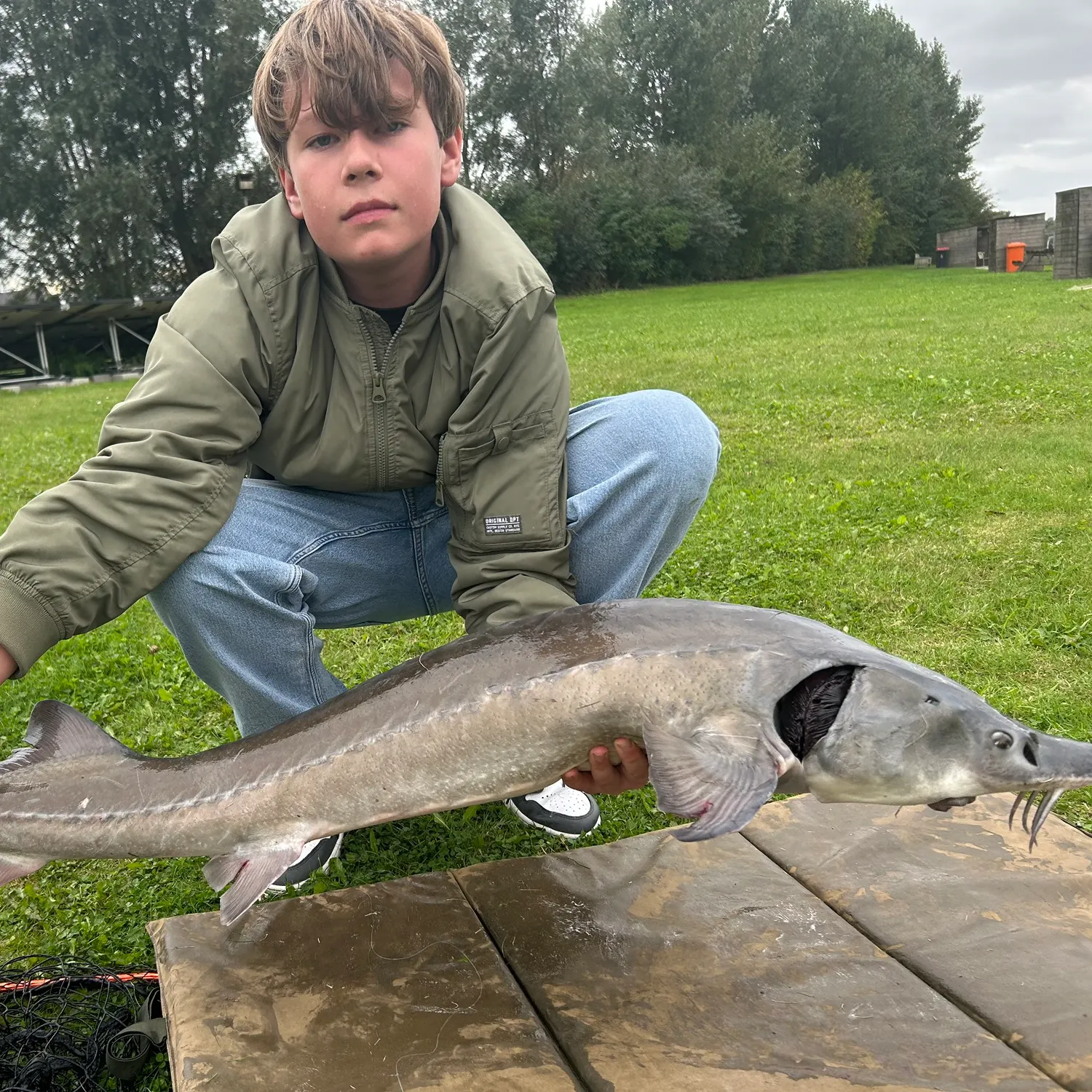 Siberian sturgeon caught on Fishbrain