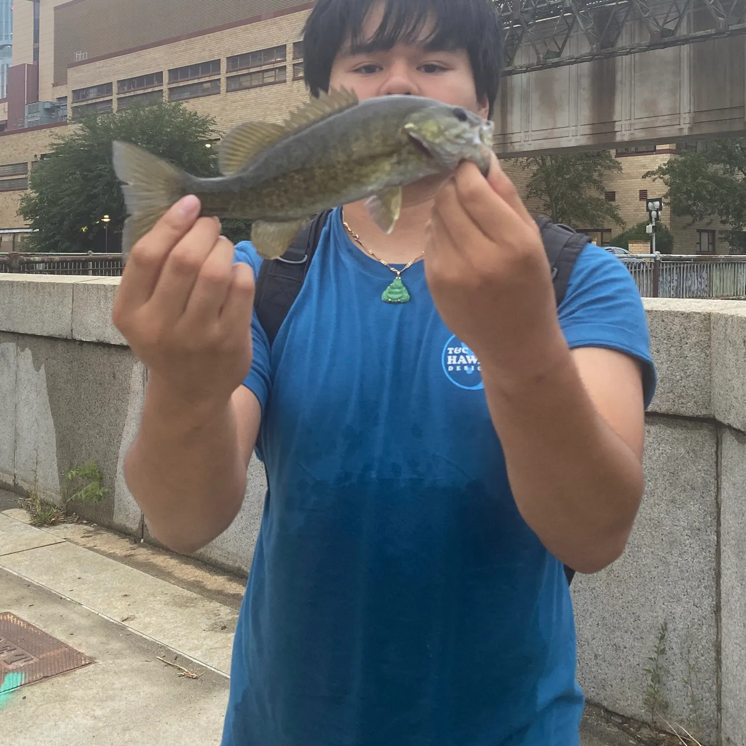 Smallmouth bass caught on Fishbrain