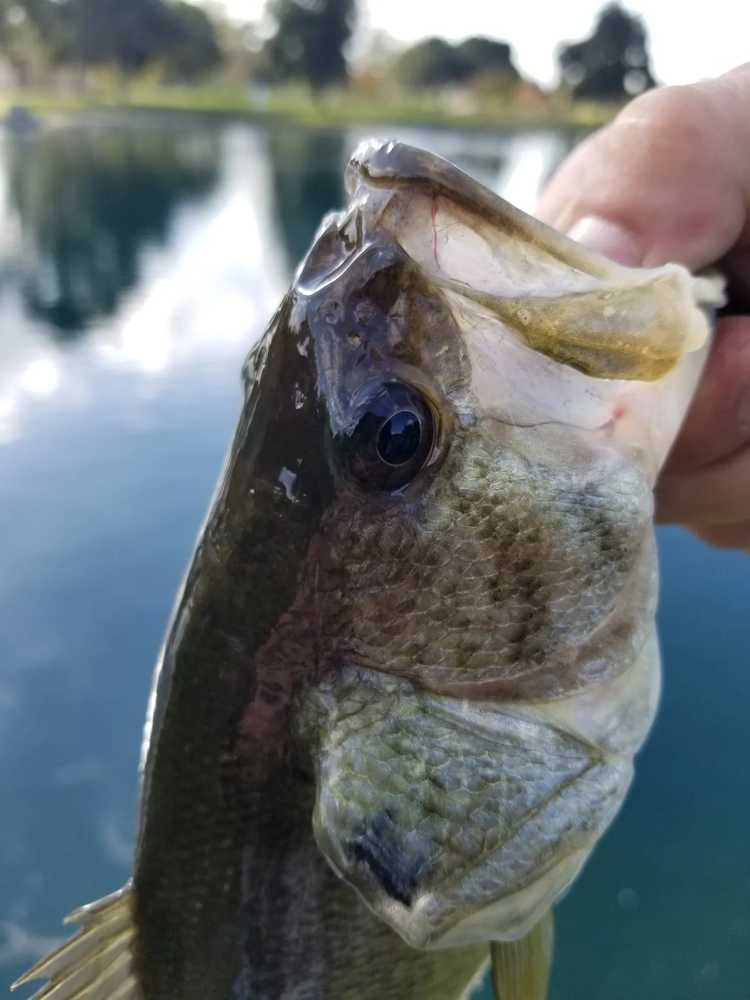 Post image from 96thcast