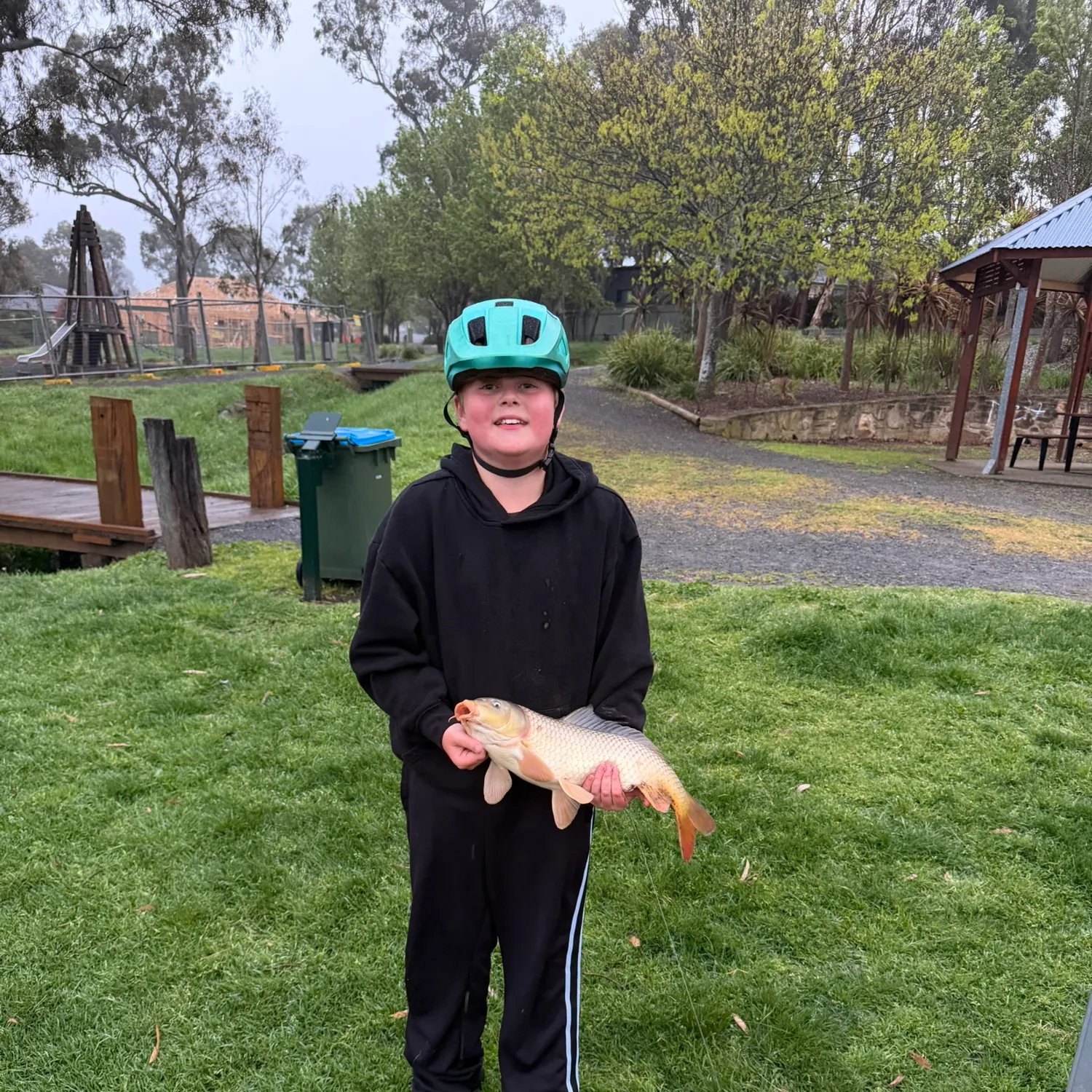 Common carp caught on Fishbrain