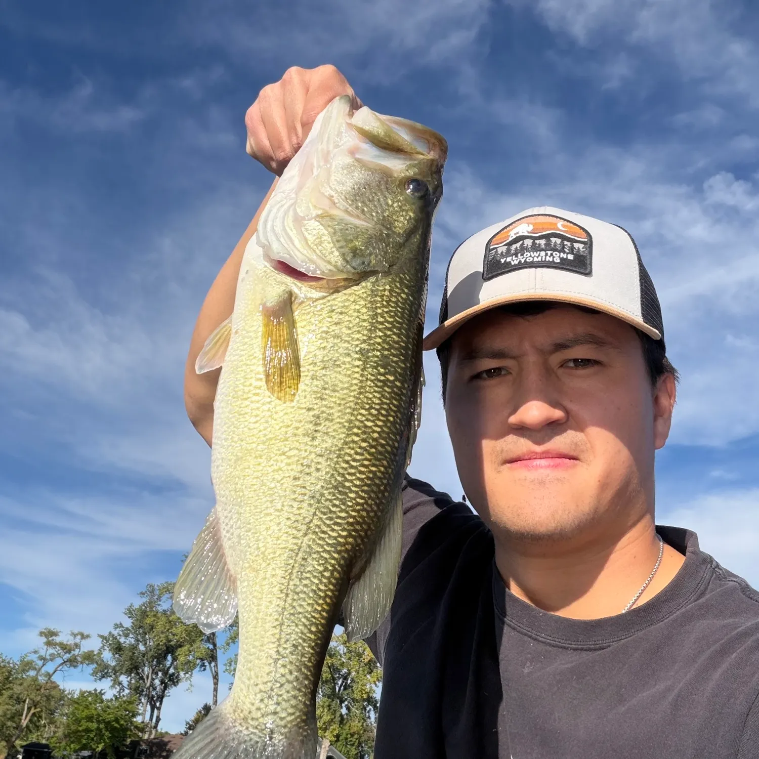 Largemouth bass caught on Fishbrain
