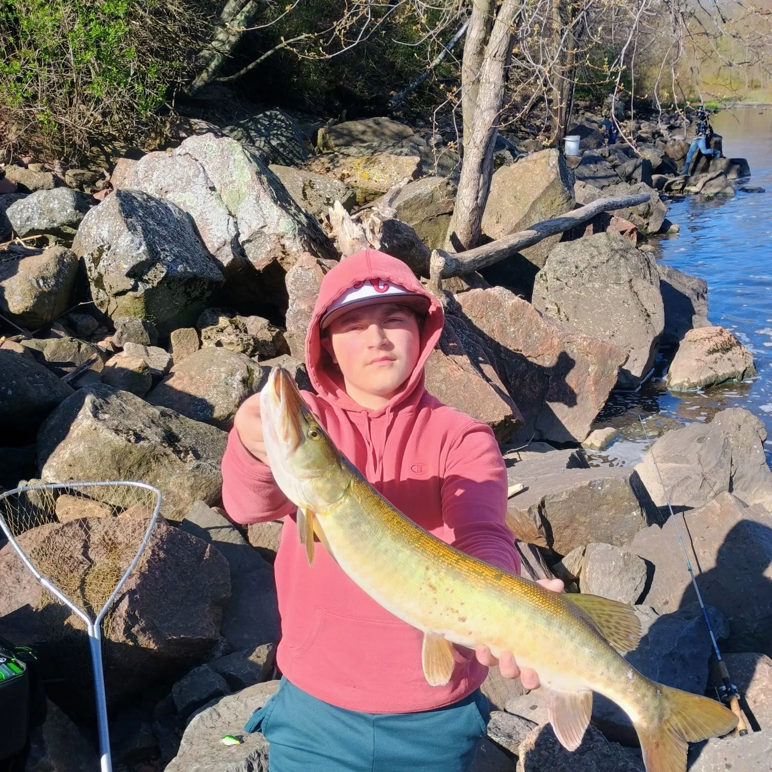 The most recent Muskellunge catches on Fishbrain