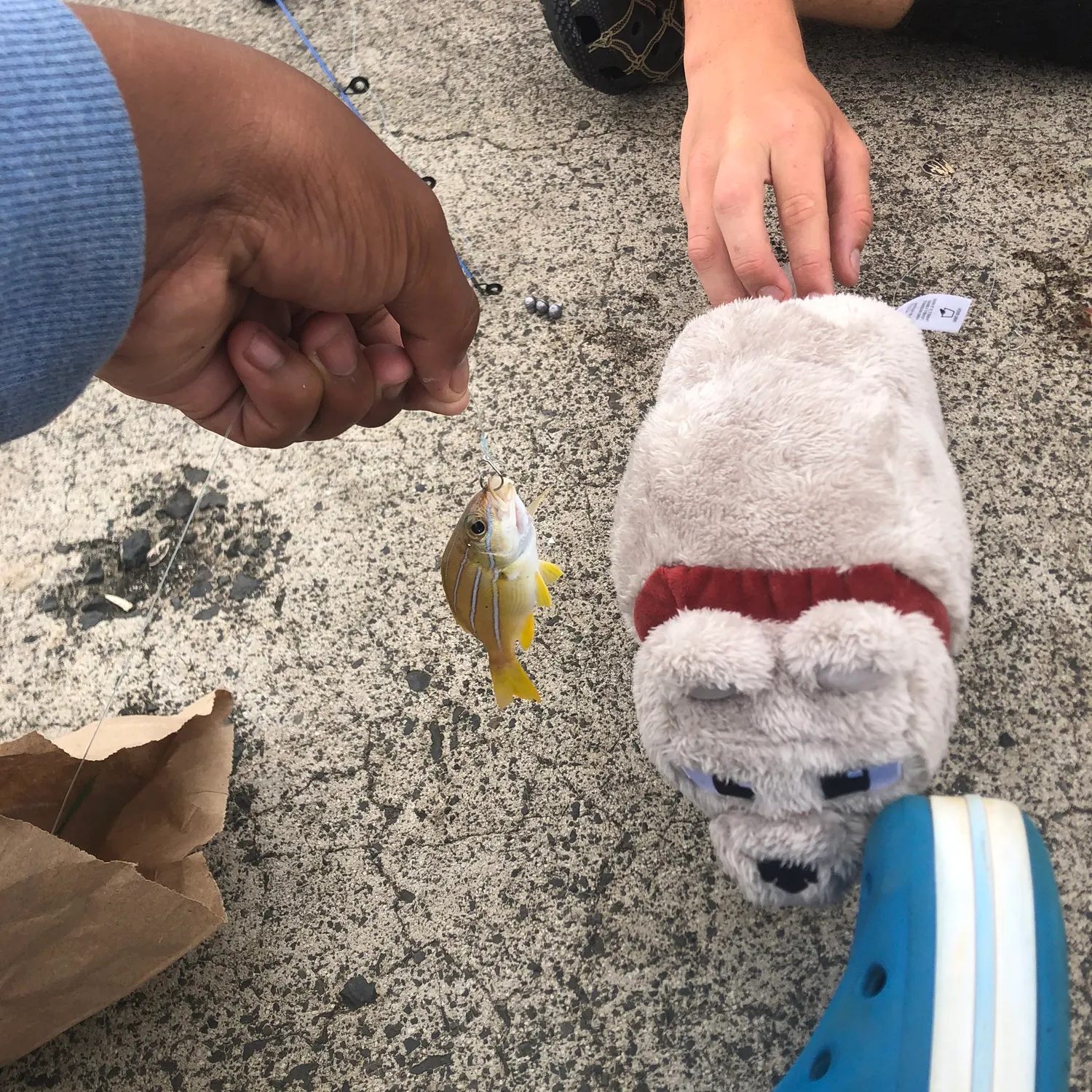 catch