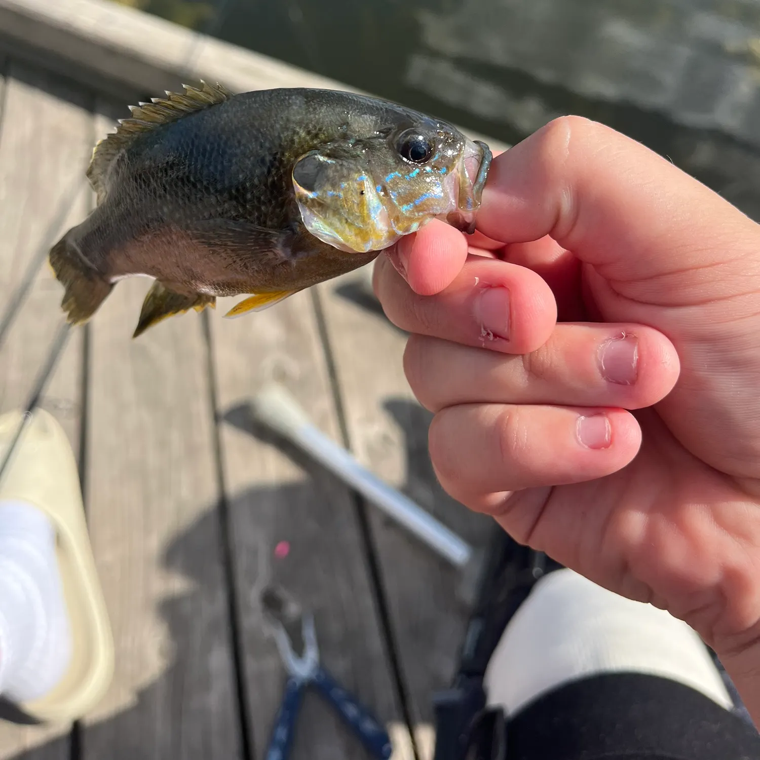 catch