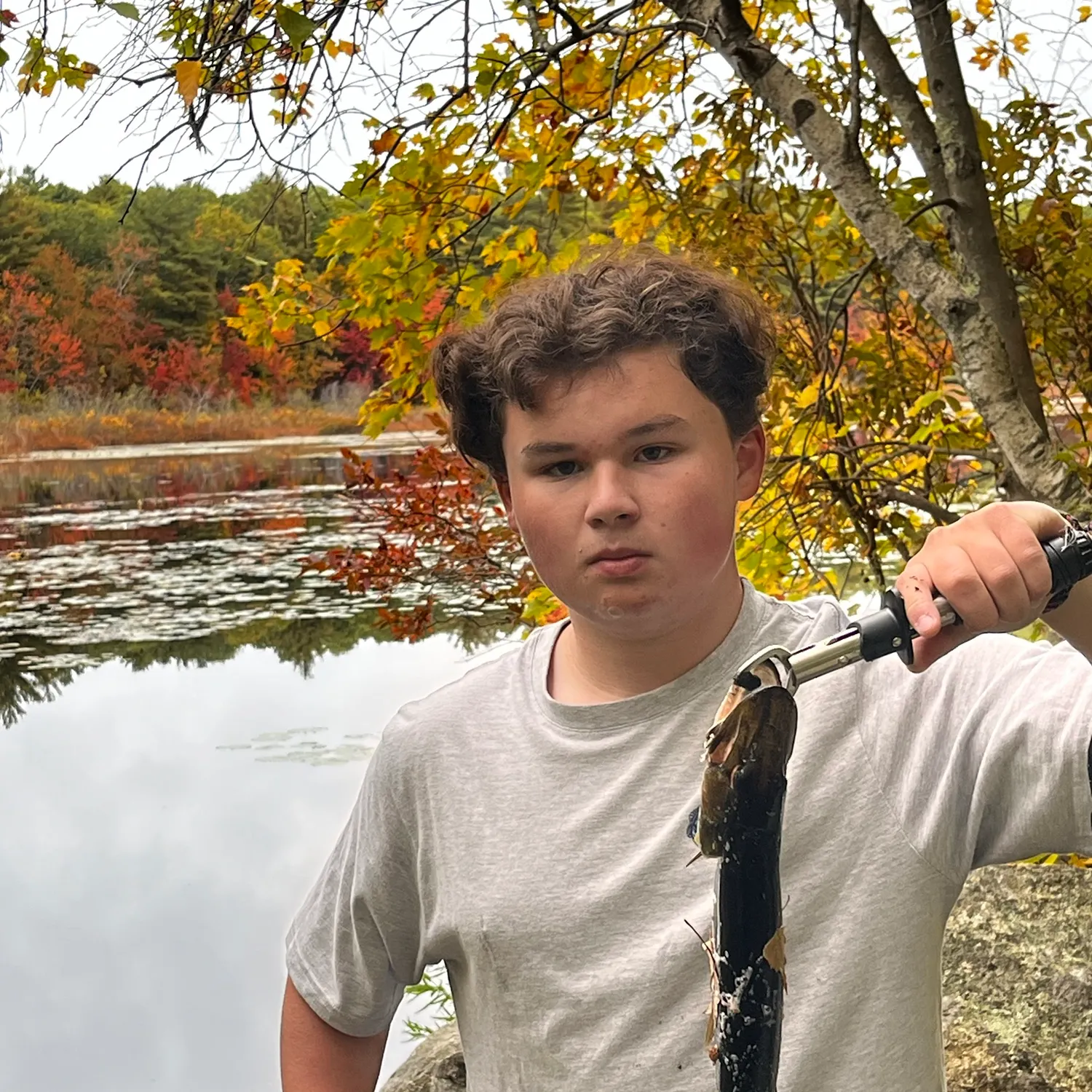 Chain pickerel caught on Fishbrain