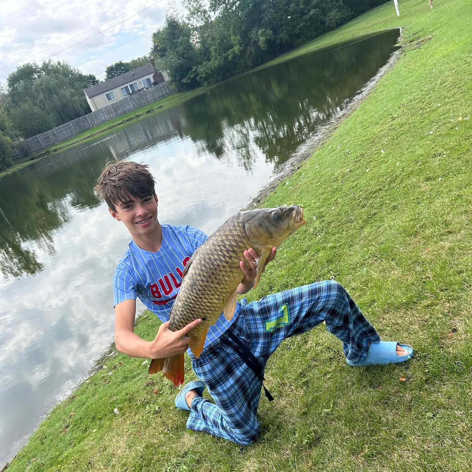 Common carp caught on Fishbrain