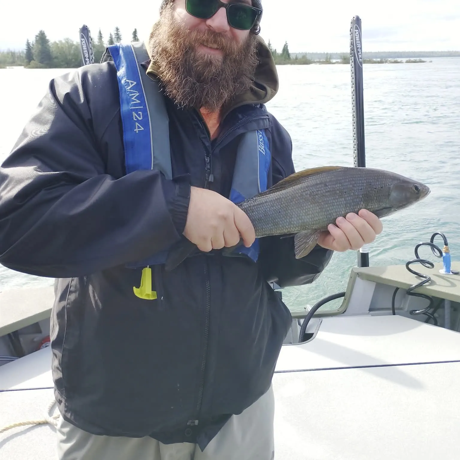 Arctic grayling caught on Fishbrain