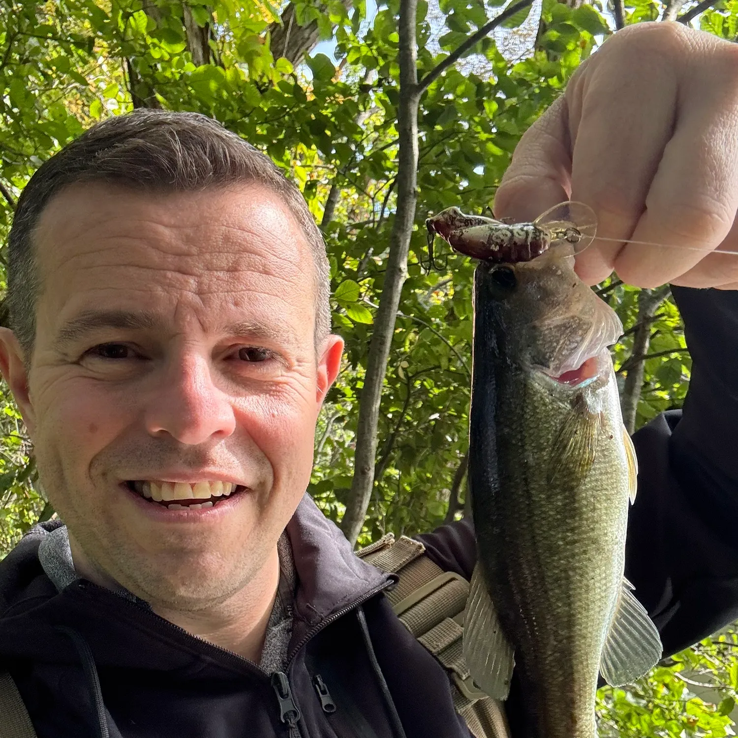 Largemouth bass caught on Fishbrain