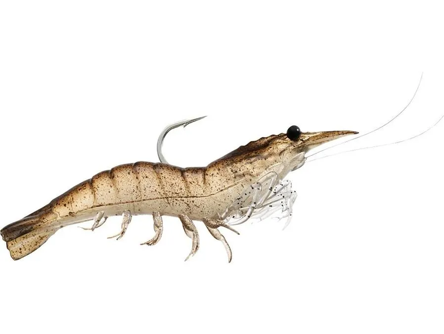 Rigged Shrimp