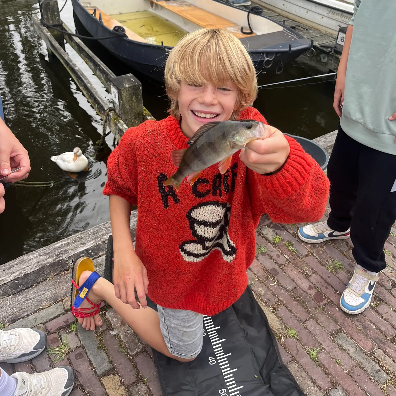 European perch caught on Fishbrain