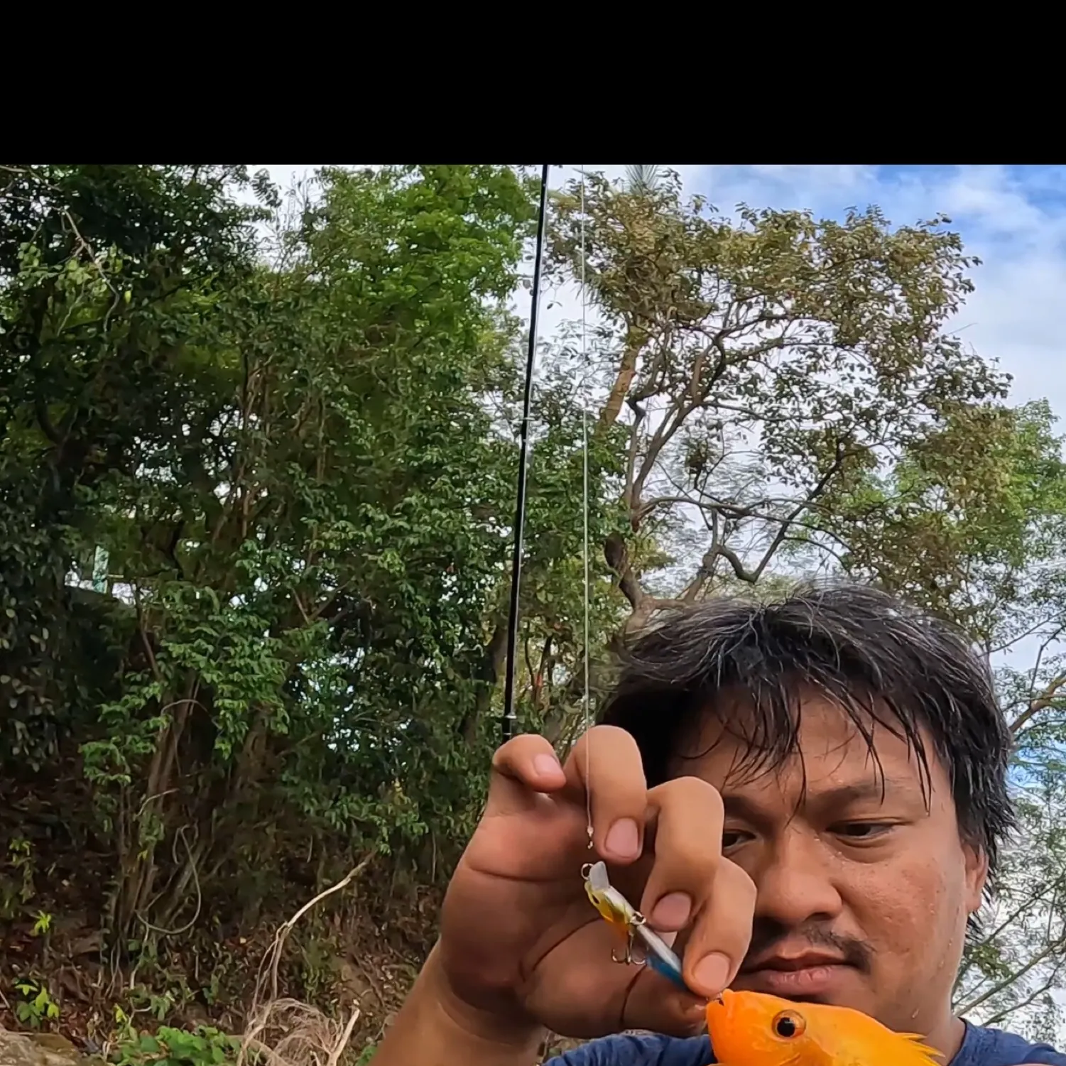 most liked catch image