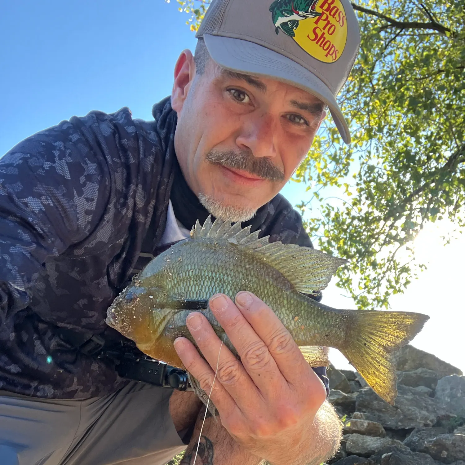 Redbreast sunfish caught on Fishbrain