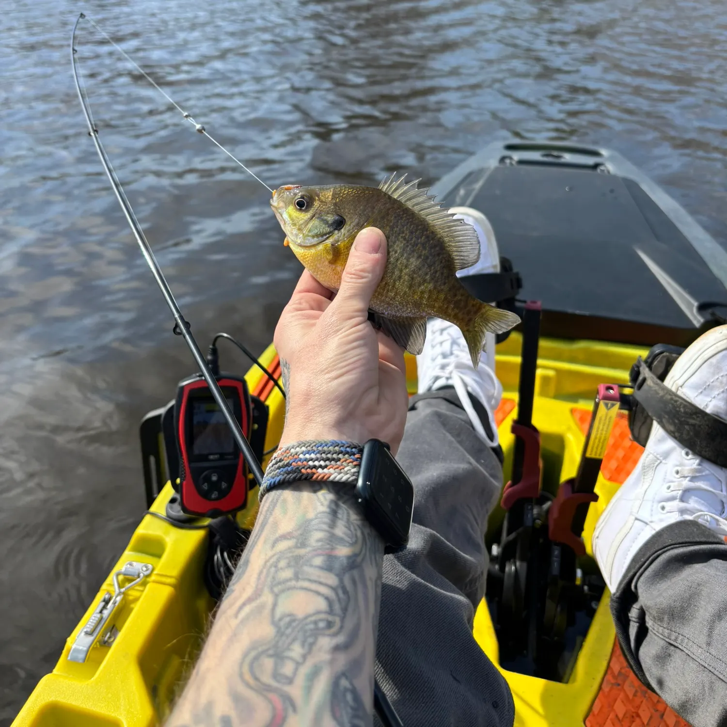 recently logged catches