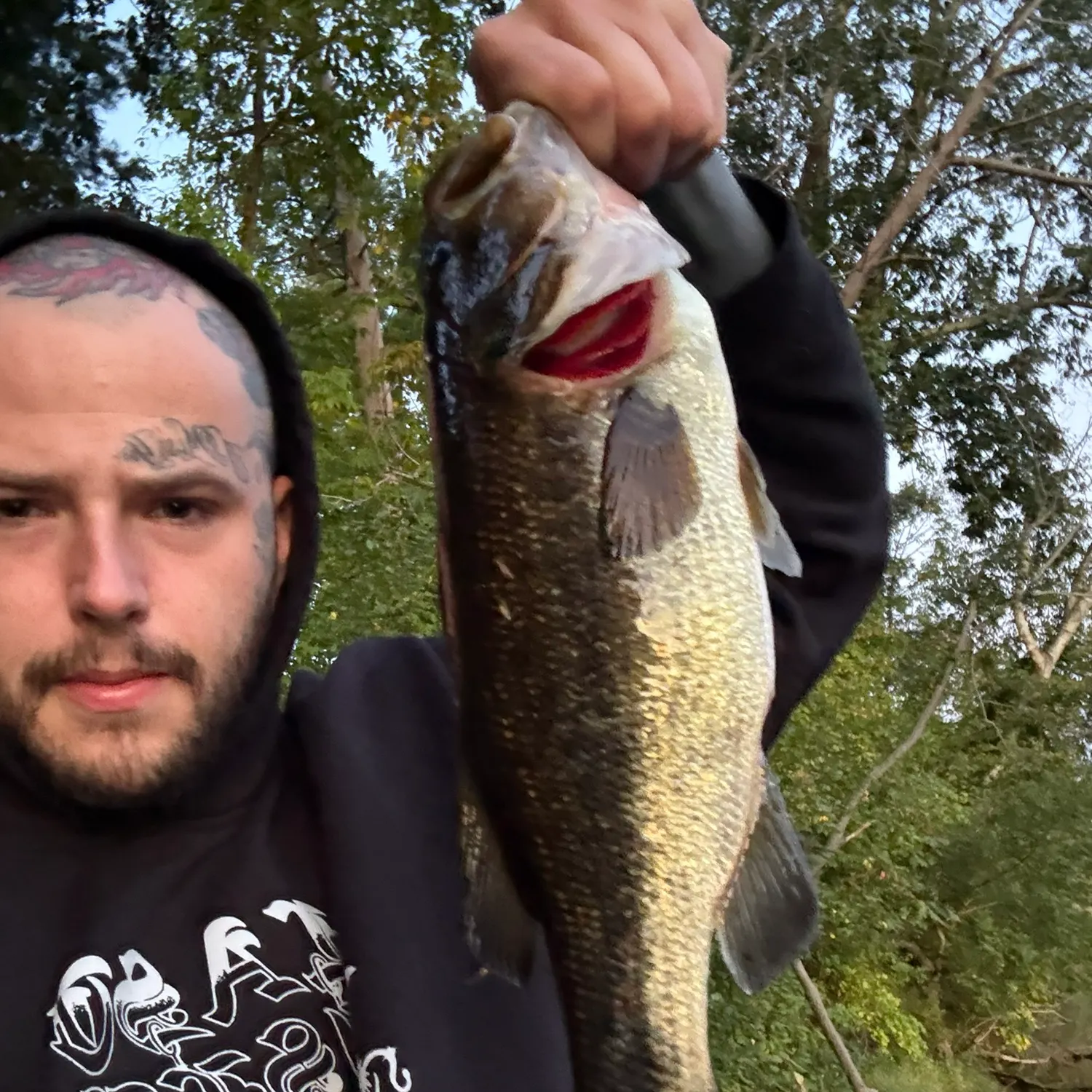 Largemouth bass caught on Fishbrain