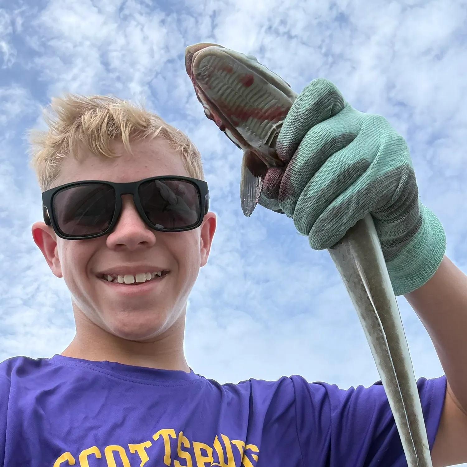 The most recent Live sharksucker catches on Fishbrain
