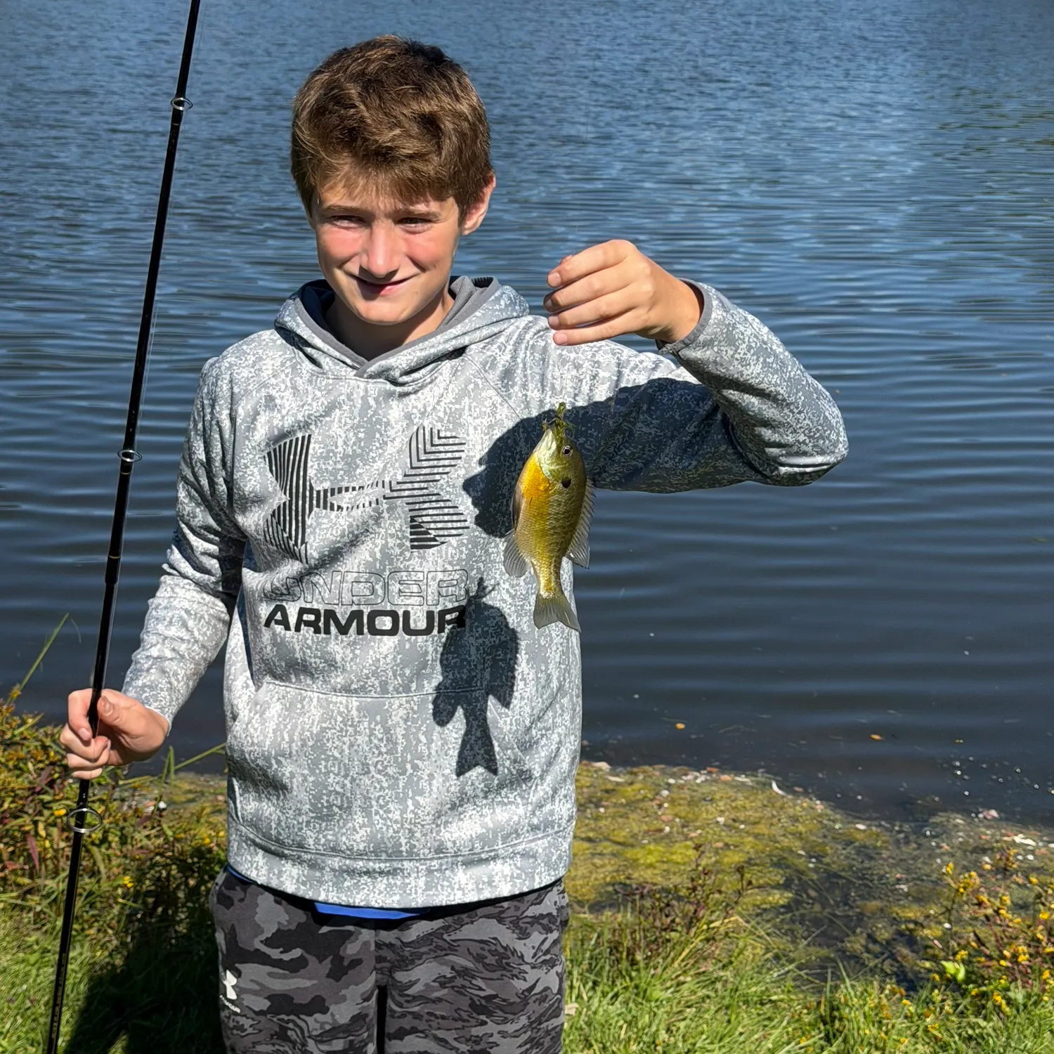 Bluegill caught on Fishbrain