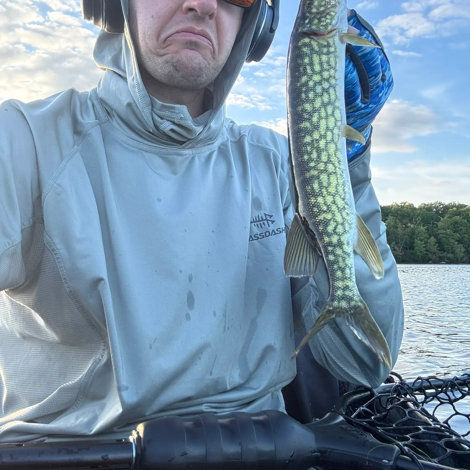 Chain pickerel caught on Fishbrain
