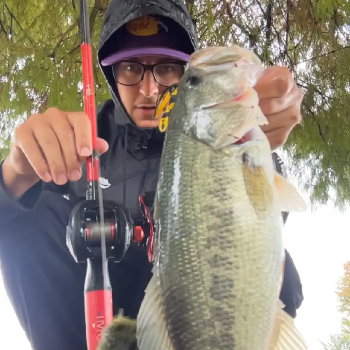 Largemouth bass caught on Fishbrain