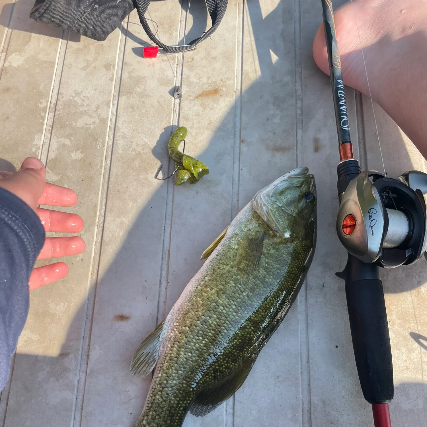 most liked catch image