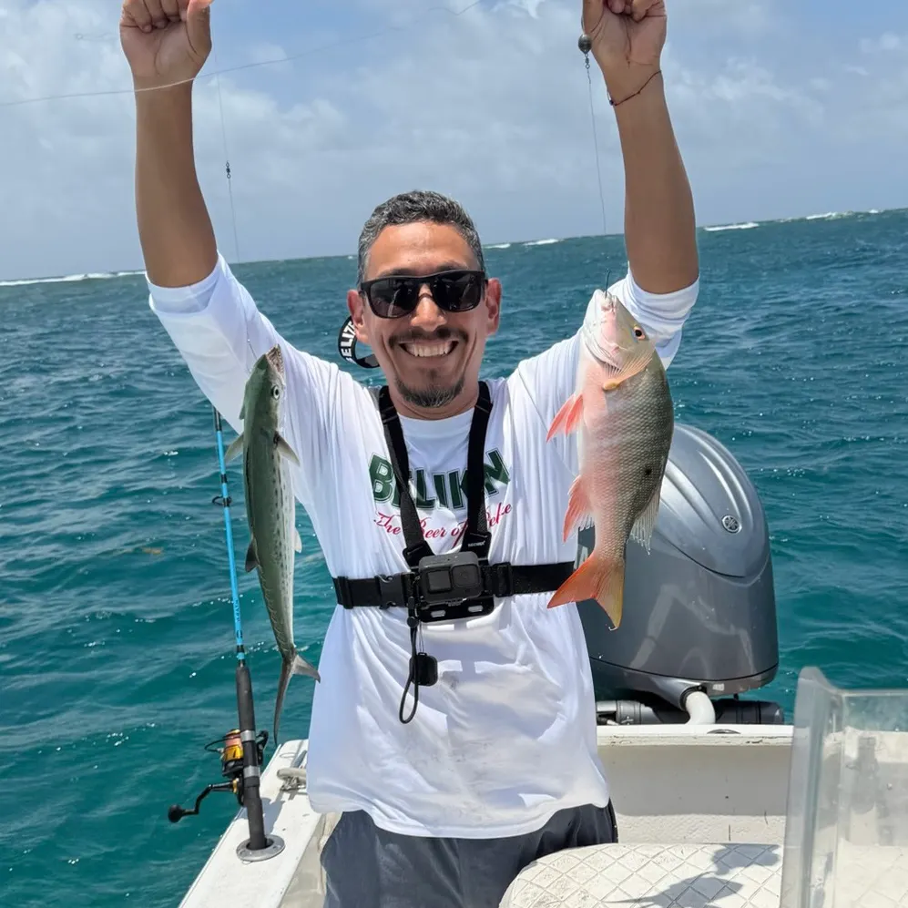 The most recent Spanish mackerel catches on Fishbrain