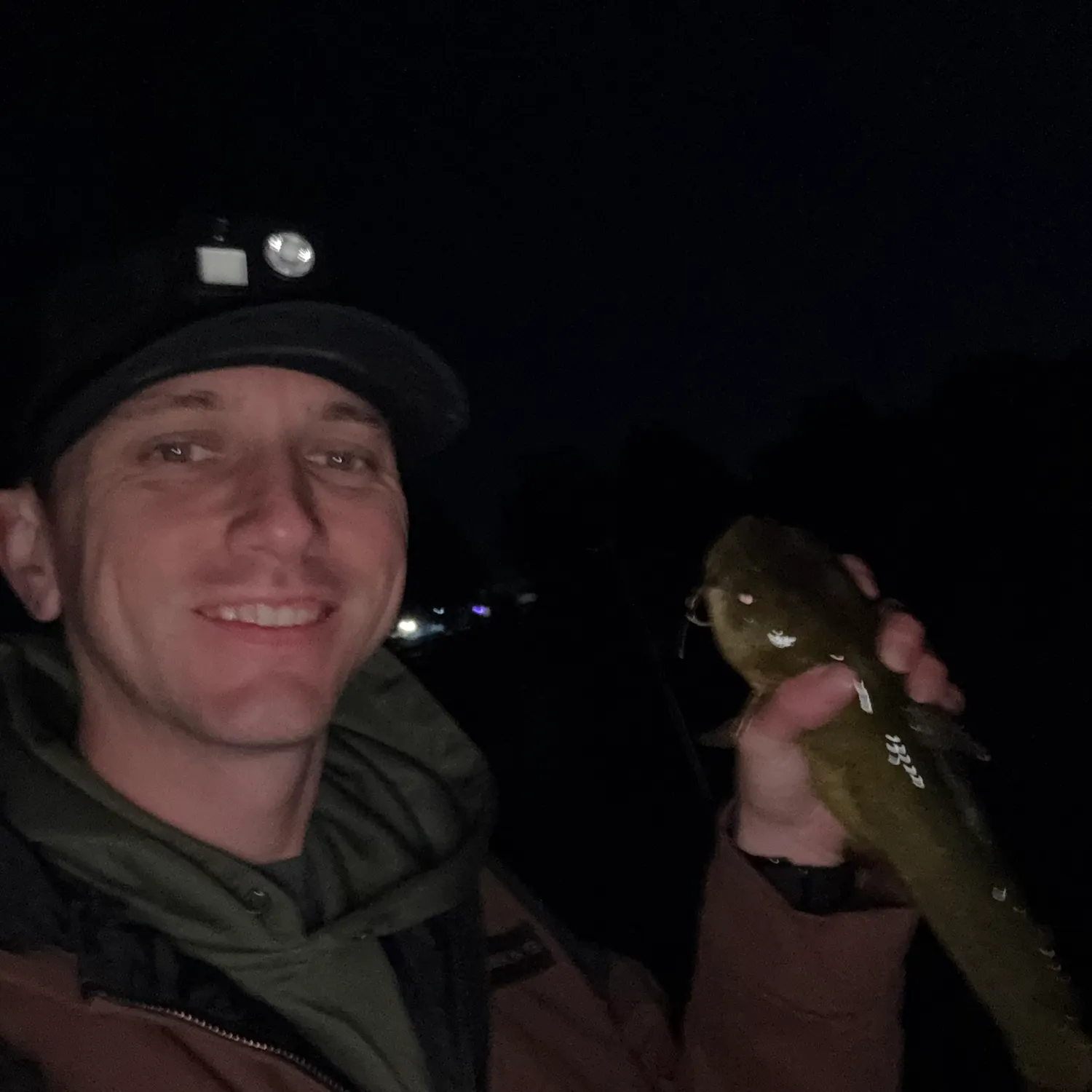 Yellow bullhead caught on Fishbrain