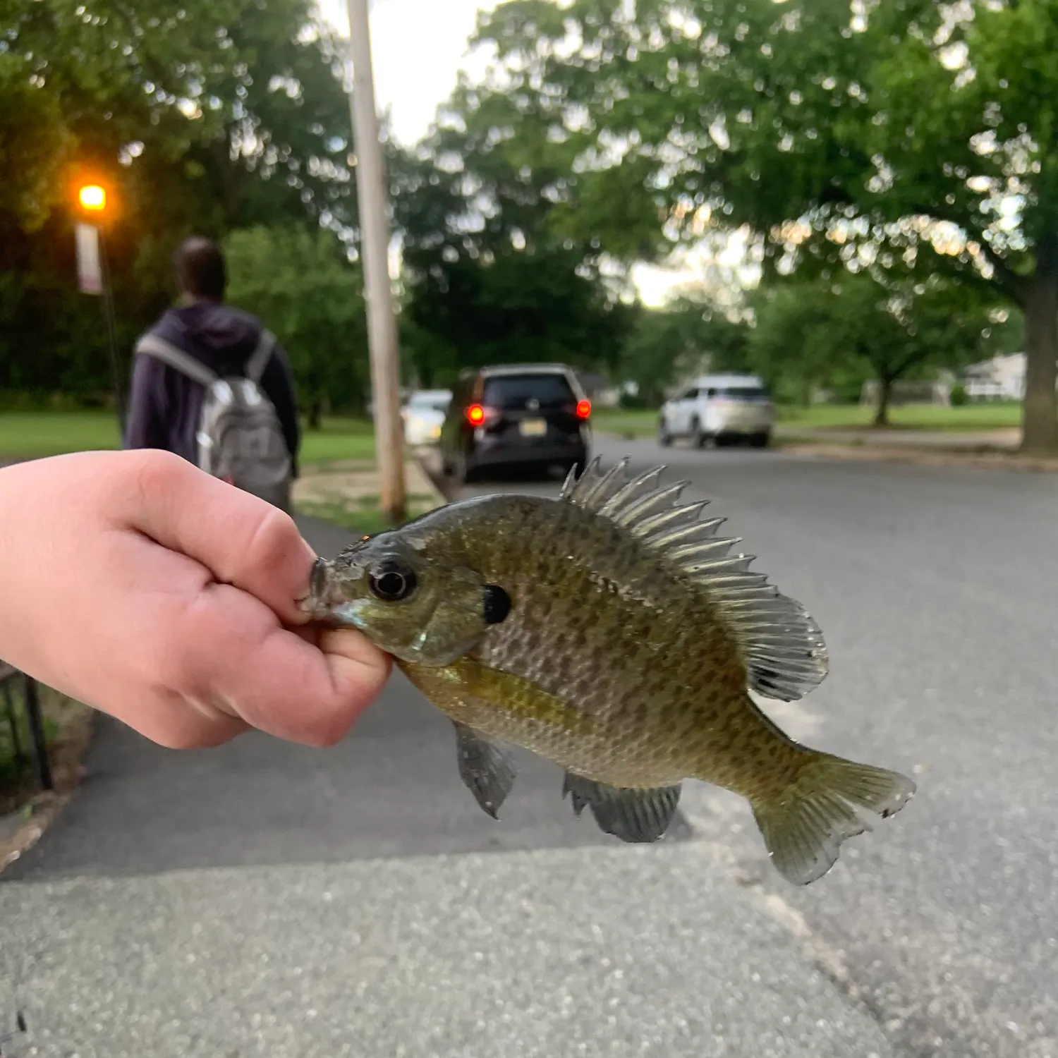 catch