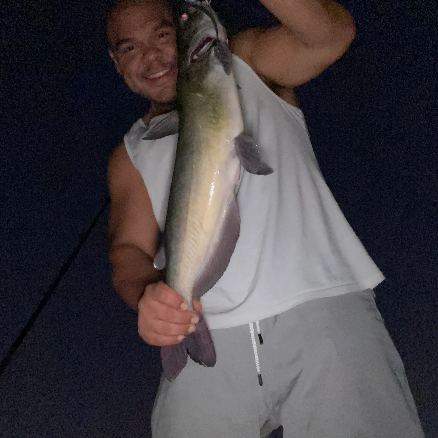 Channel catfish caught on Fishbrain