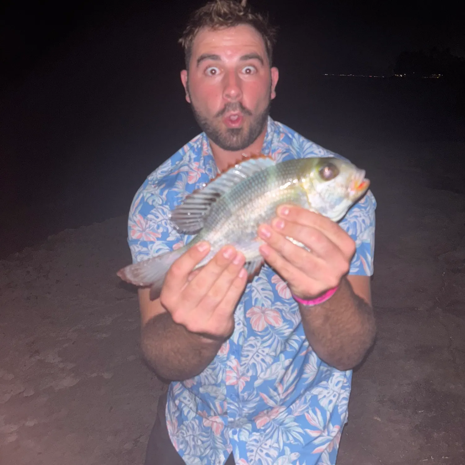 The most recent Humpnose big-eye bream catches on Fishbrain