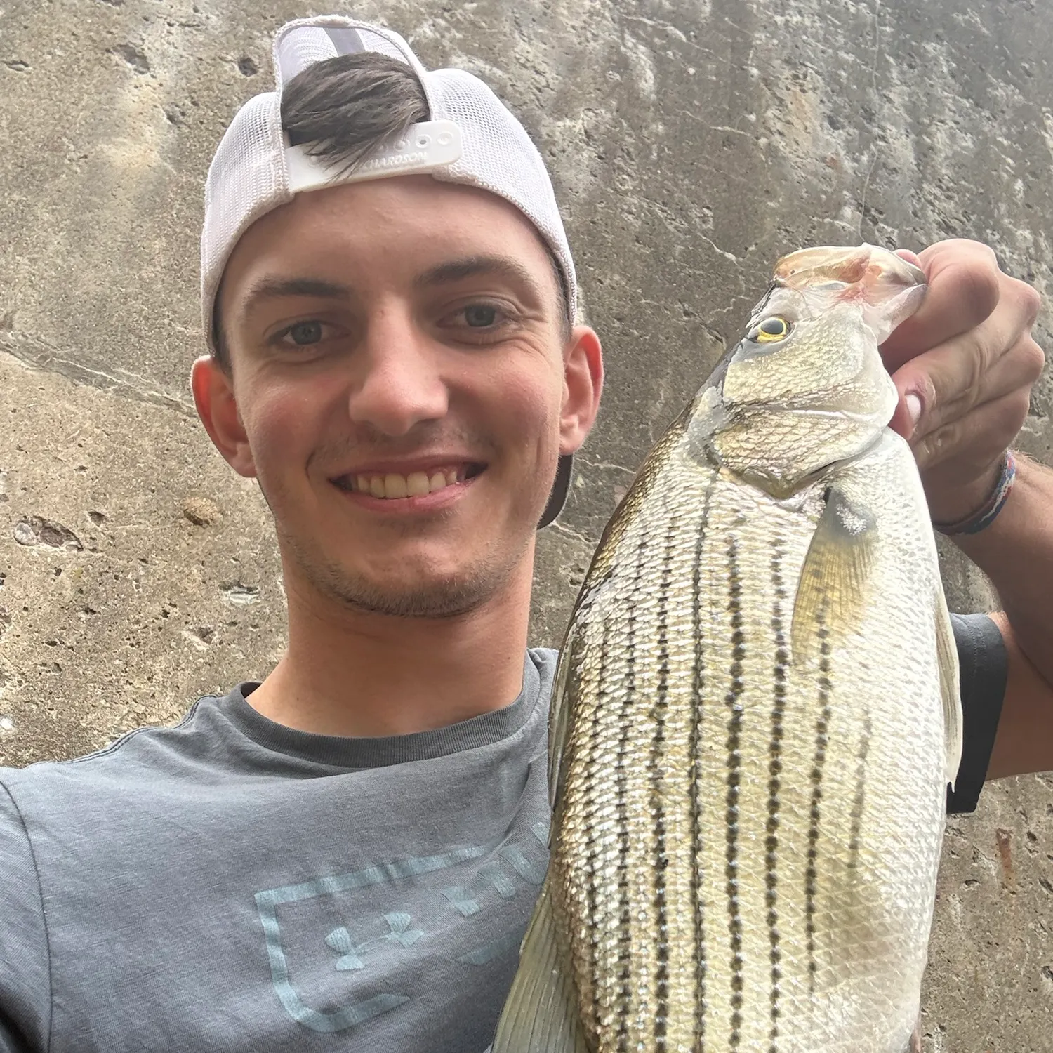 Wiper caught on Fishbrain