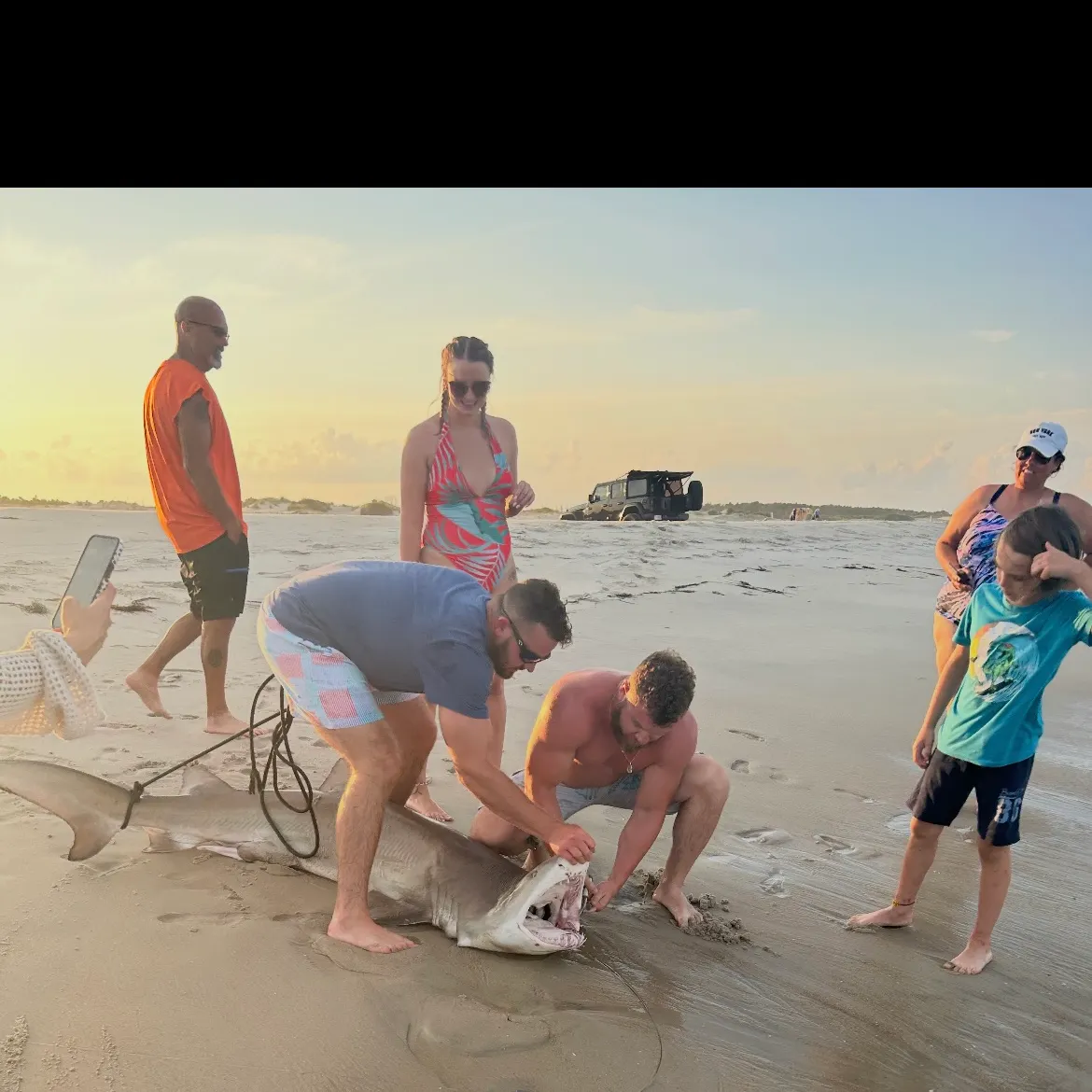 The most recent Sand tiger shark catches on Fishbrain