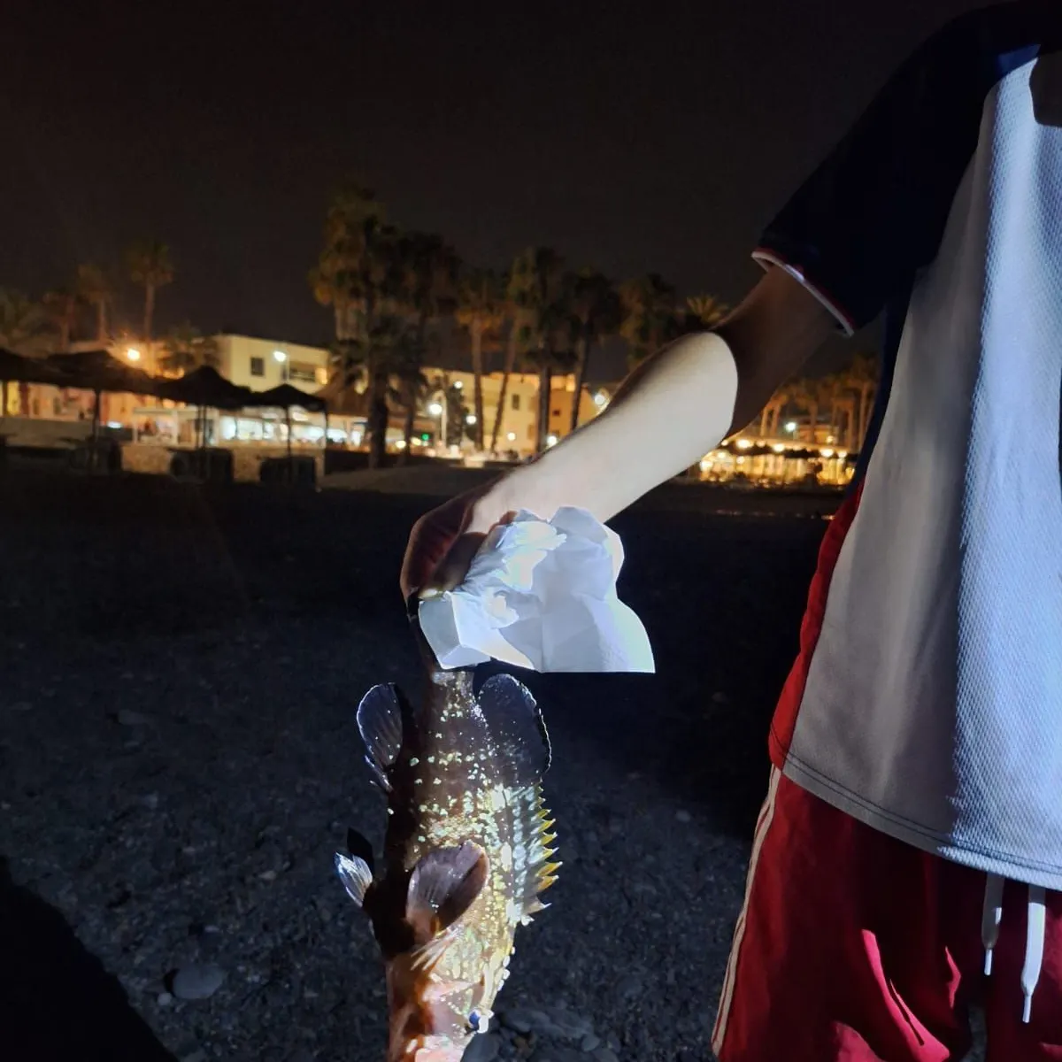 catch