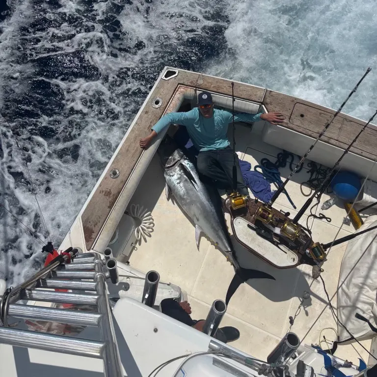 The most recent Bigeye tuna catches on Fishbrain
