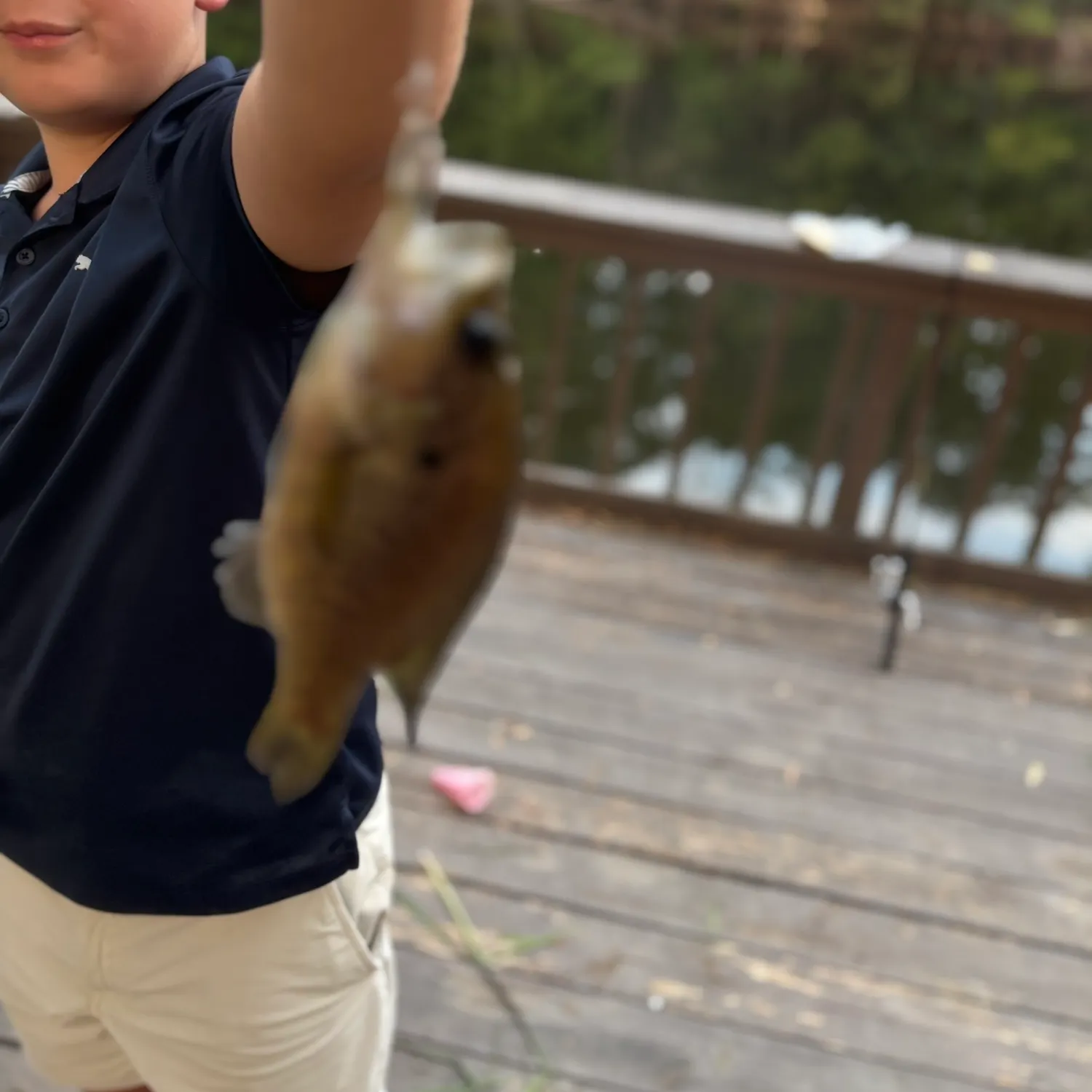 Fish caught on Fishbrain