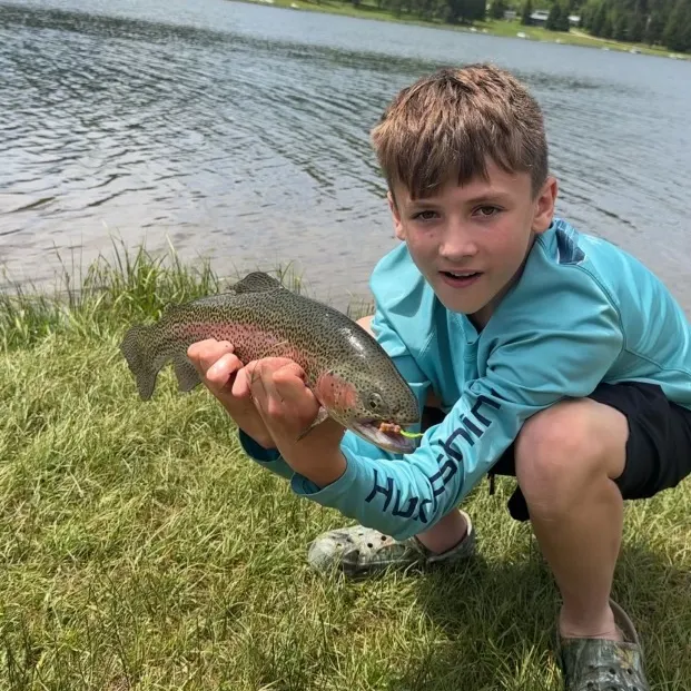 Rainbow trout caught on Fishbrain