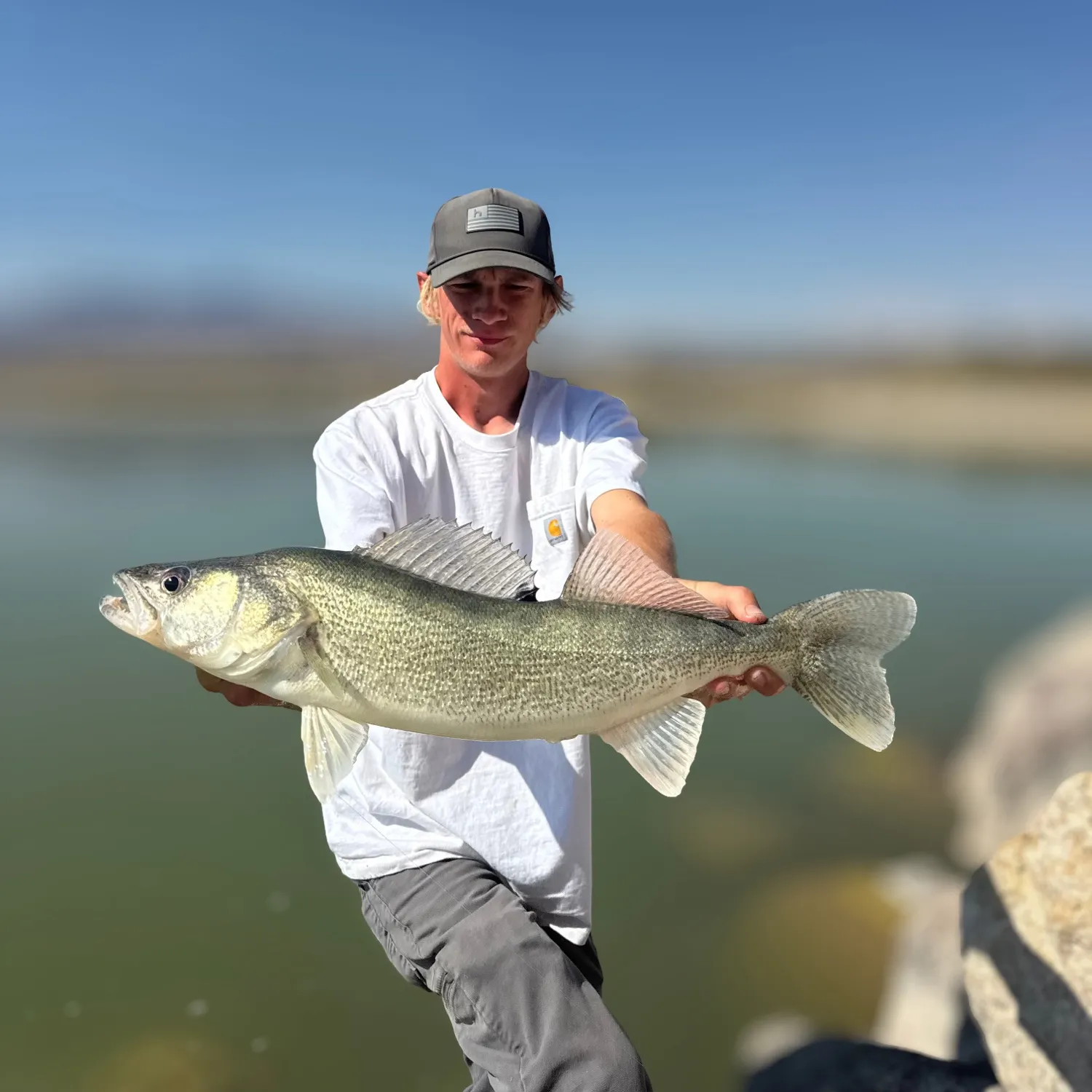 Walleye caught on Fishbrain