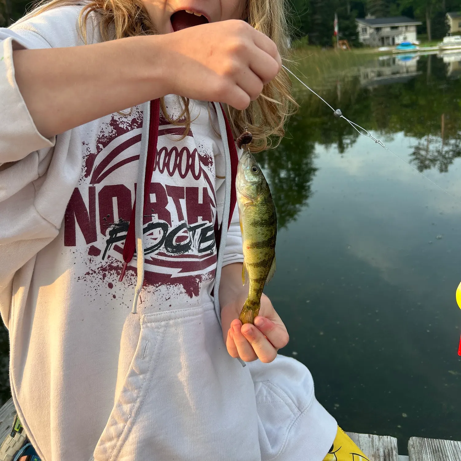 Yellow perch caught on Fishbrain