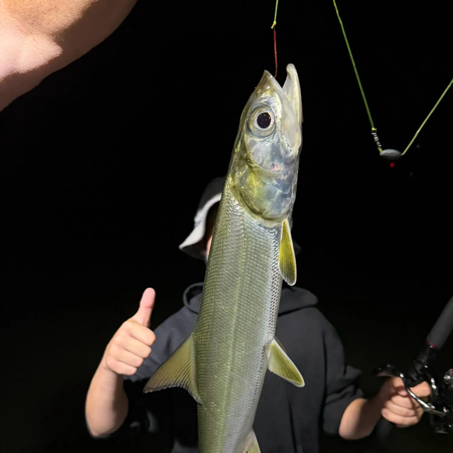 Ladyfish caught on Fishbrain