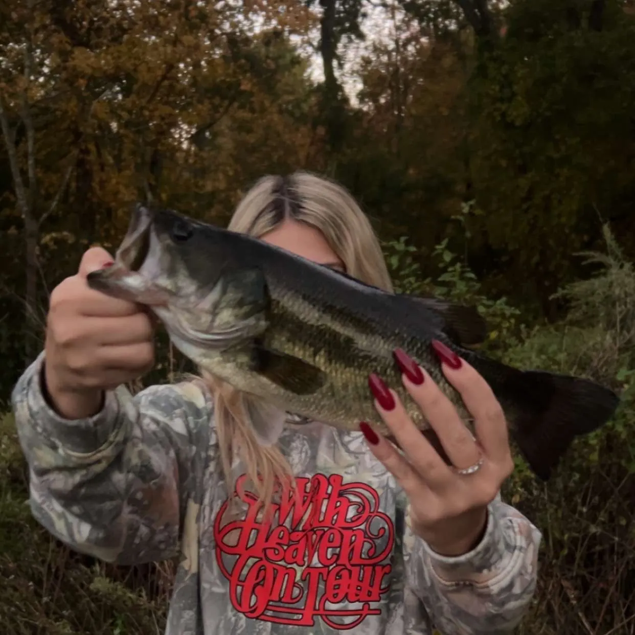 Largemouth bass caught on Fishbrain