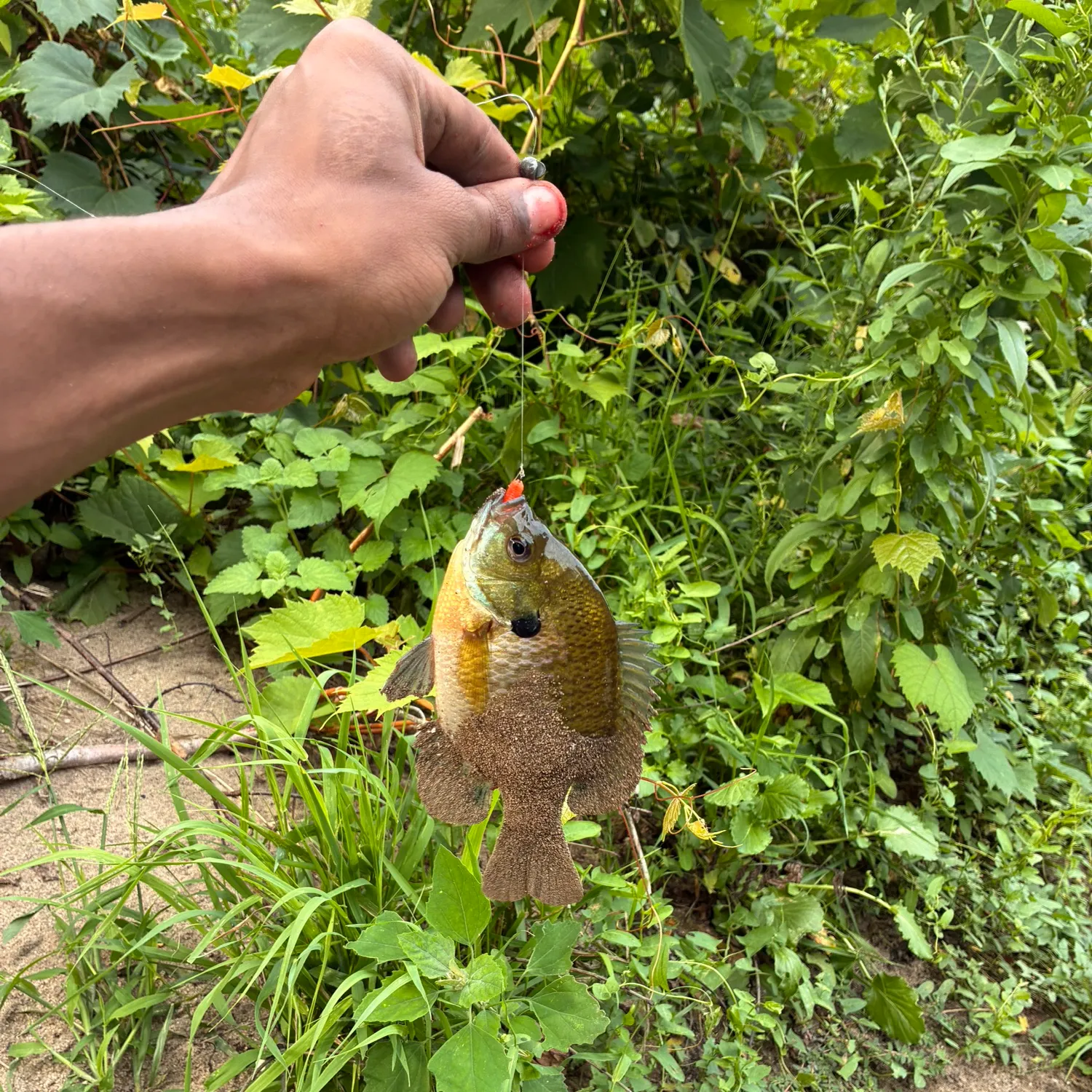 catch