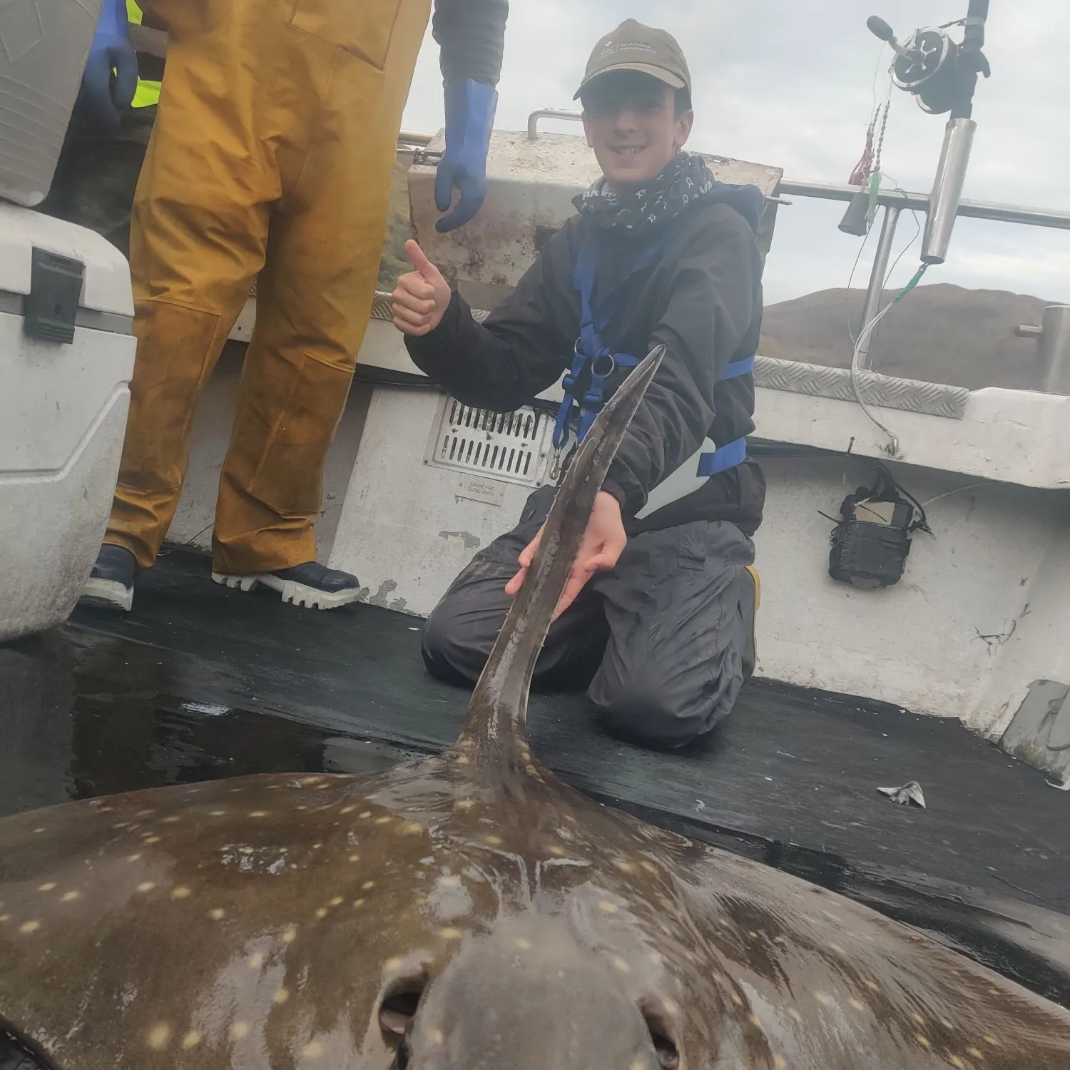 Blue skate caught on Fishbrain