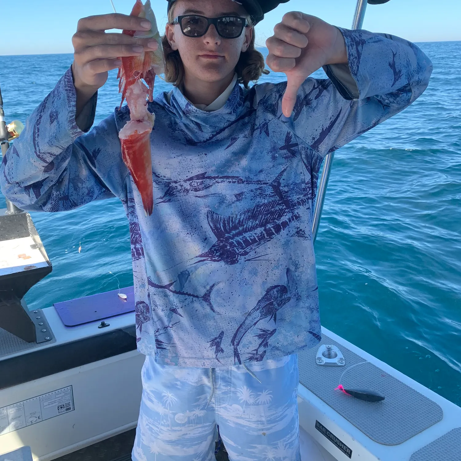 The most recent Western king wrasse catches on Fishbrain