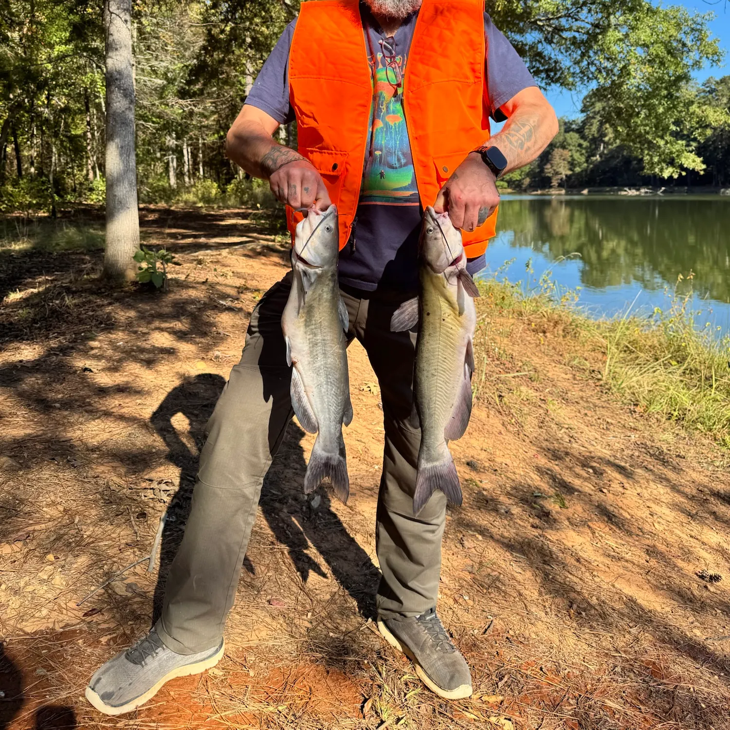 Channel catfish caught on Fishbrain