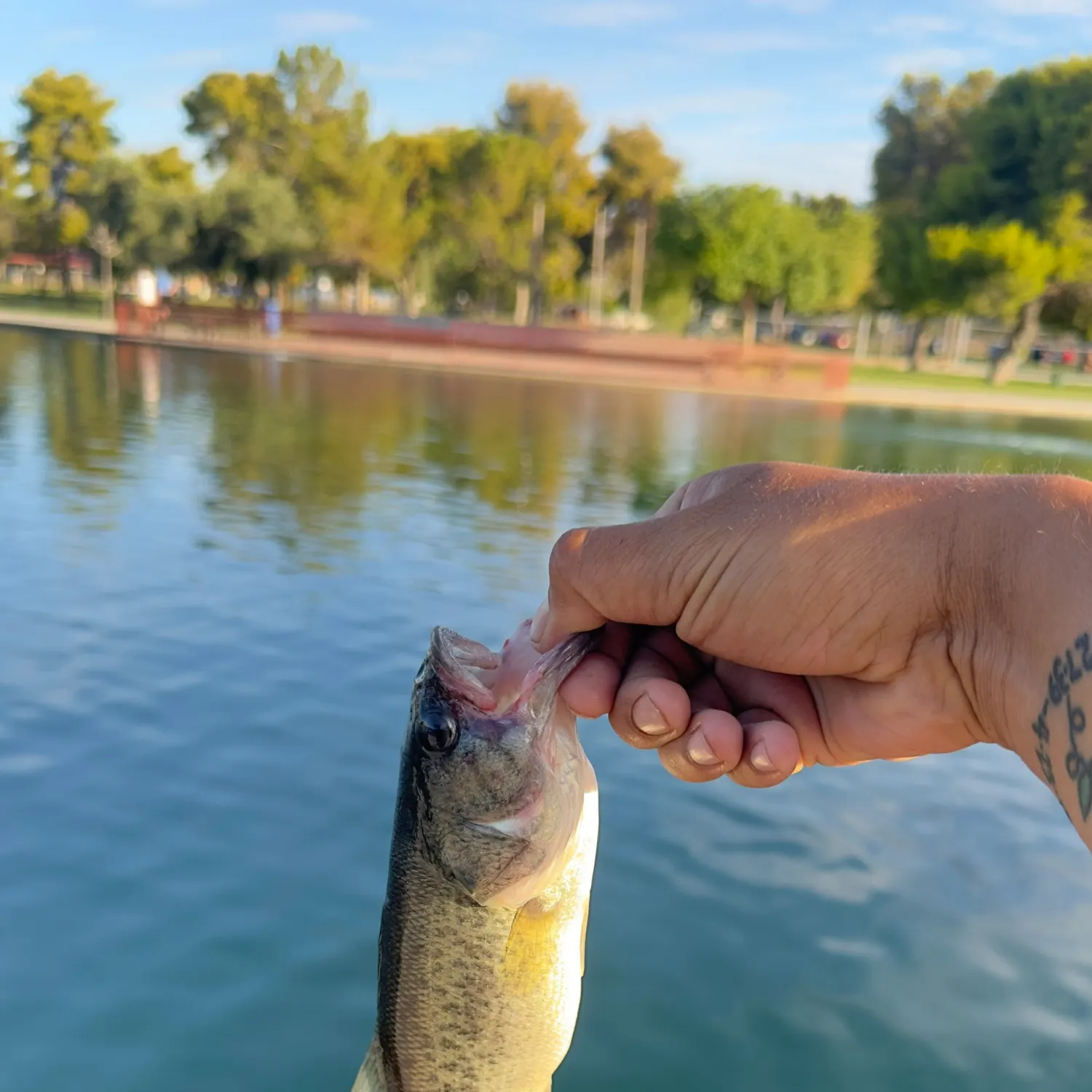 catch