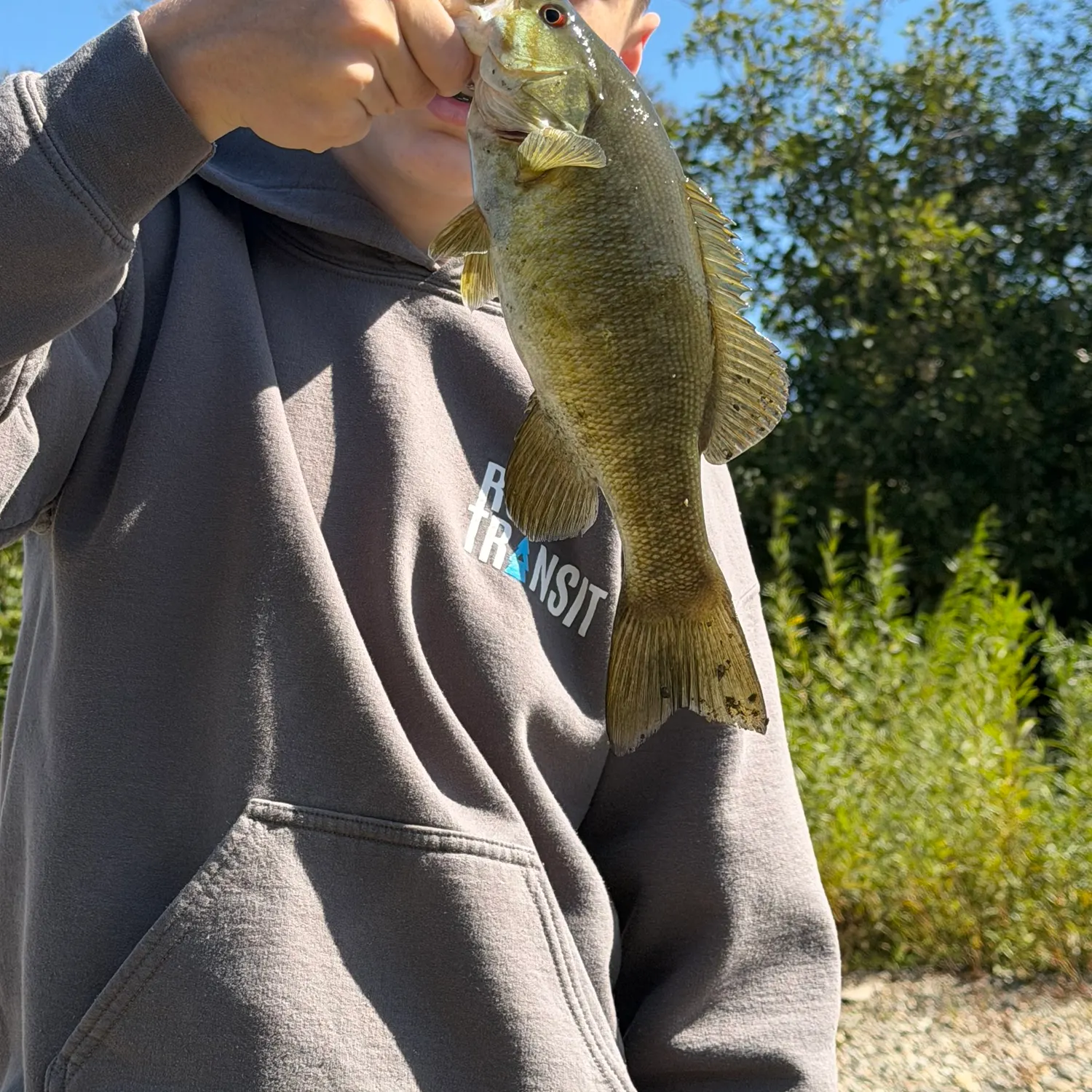 Smallmouth bass caught on Fishbrain