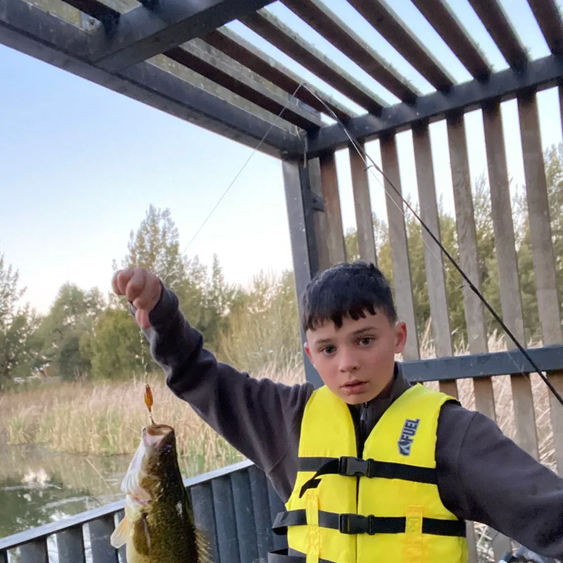 Murray cod caught on Fishbrain