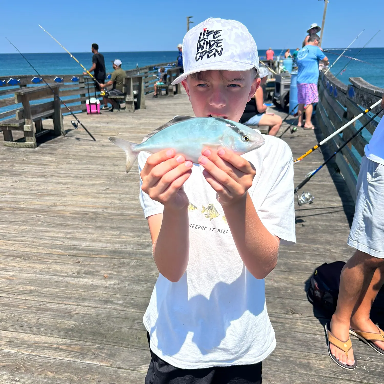 The most recent Banded Rudderfish catches on Fishbrain