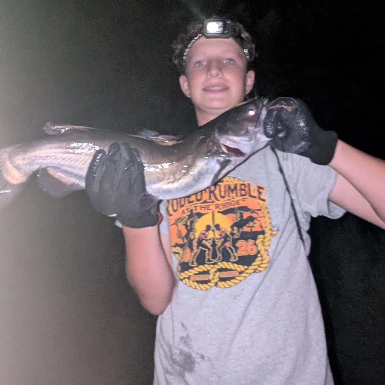 Channel catfish caught on Fishbrain