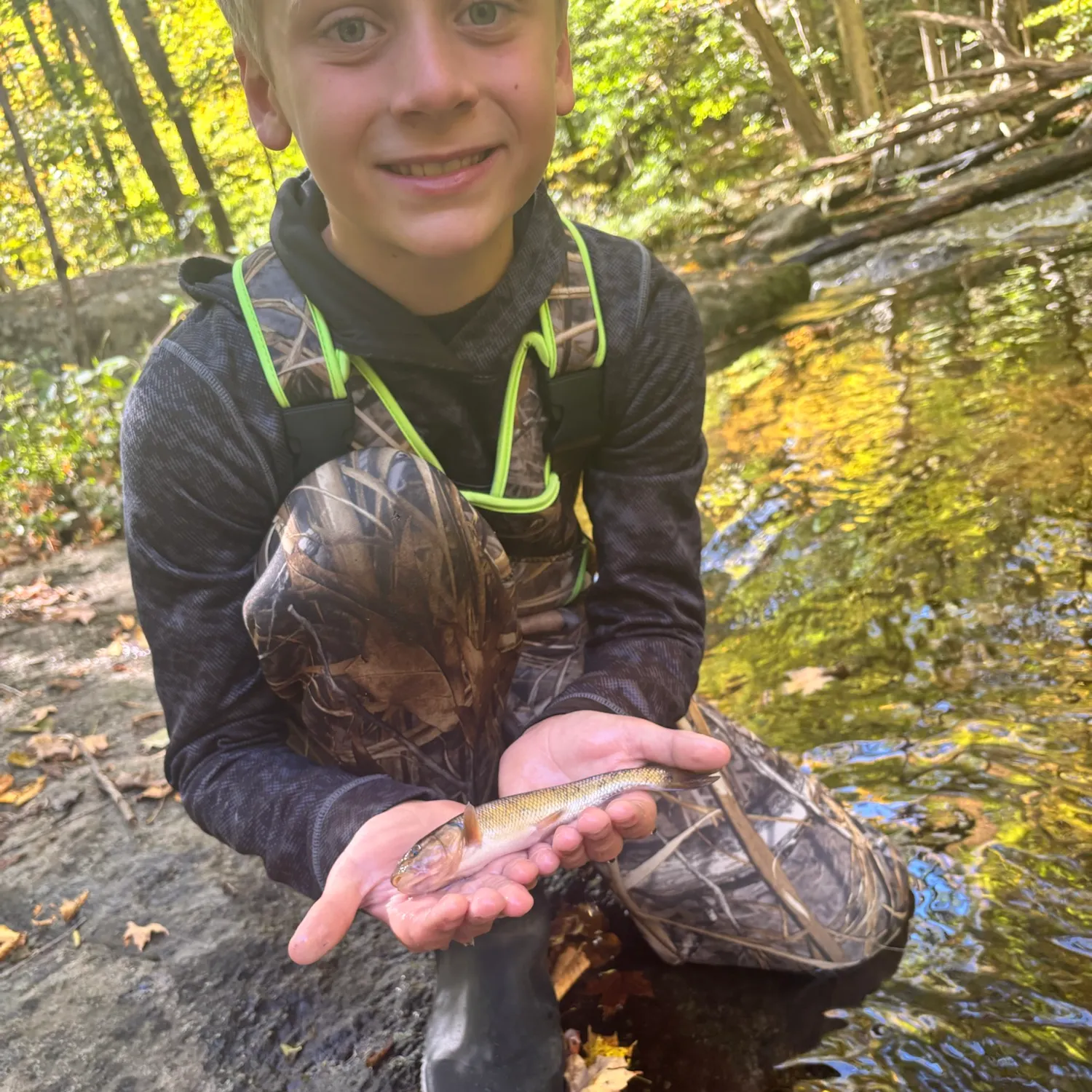 Brook trout caught on Fishbrain