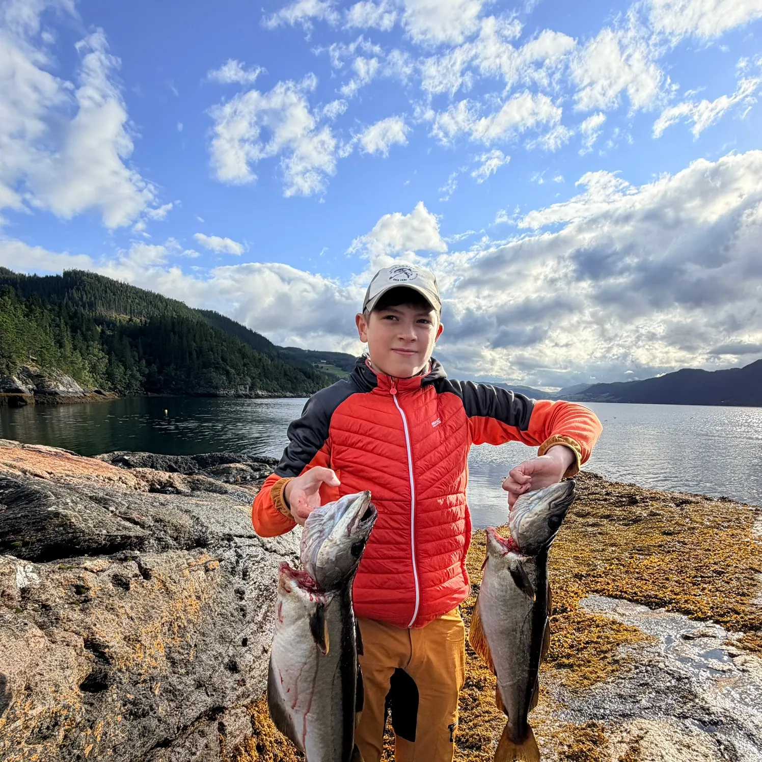 Pollack caught on Fishbrain